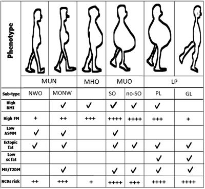 Advances in Phenotyping Obesity and in Its Dietary and Pharmacological Treatment: A Narrative Review